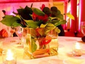 Amidst the twinkling glow of votive candles, there stands a mighty square glass vase—a fortress of natures beauty. Within its transparent walls, an alliance of assorted green leaves and bold red flowers assemble, their colors vivid and unstoppable. Together, they conjure an enchanting atmosphere that captures the essence of heroism and grace. This spectacular scene is magnified under the illumination powers wielded by Black Tie Productions unrivaled event lighting or a Michigan wedding DJ who masterfully orchestrates the mood like a maestro commanding the night. Events transformed into adventures; marvel in their majesty!. :The Event Heroes at Black Tie Productions