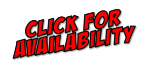 🚨🦸♂️ Power-Up Alert! 💥 Behold the dynamic CLICK FOR AVAILABILITY emblazoned boldly in red on a pristine white canvas, crafted with precision by the legendary Black Tie Productions! If youre in search of a Michigan wedding DJ extraordinaire and require an instant price quote faster than the speed of sound, this is your ultimate call to action. Answer it and unleash the rhythm of your dreams! 🎶✨. :The Event Heroes at Black Tie Productions